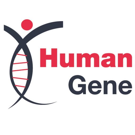 Human Gene